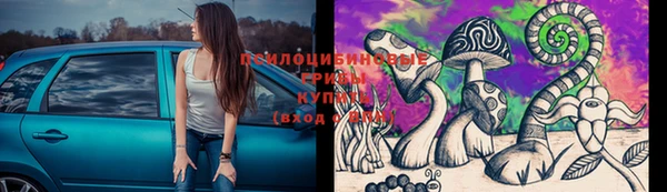 a pvp Беломорск