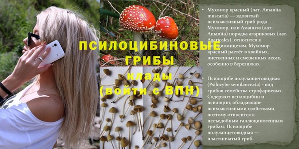 эйфоретик Белоозёрский