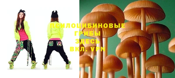 а пвп мука Белокуриха