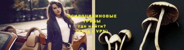 эйфоретик Белоозёрский