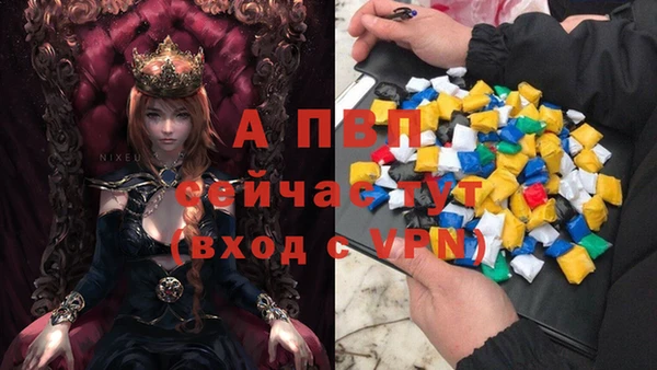 a pvp Беломорск