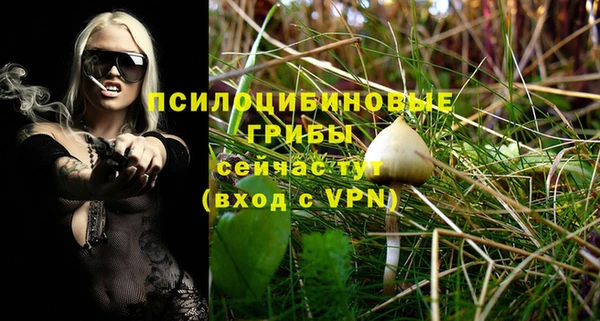 a pvp Беломорск