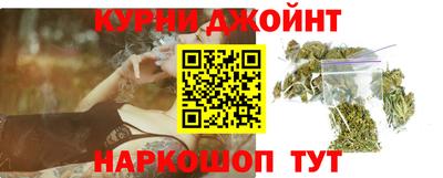 сатива Будённовск