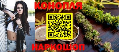 сатива Будённовск