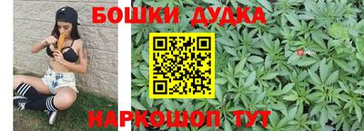 сатива Будённовск