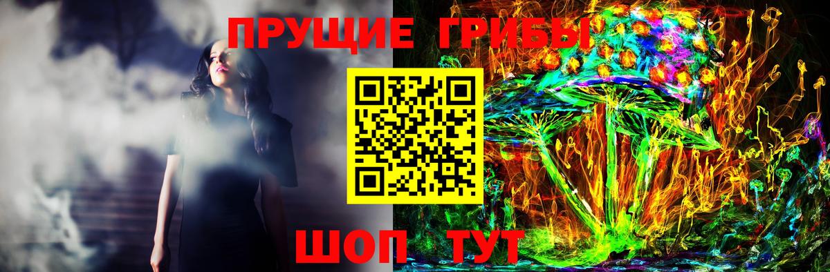 Видное  Галлюциногенные грибы GOLDEN TEACHER  Вход с VPN 