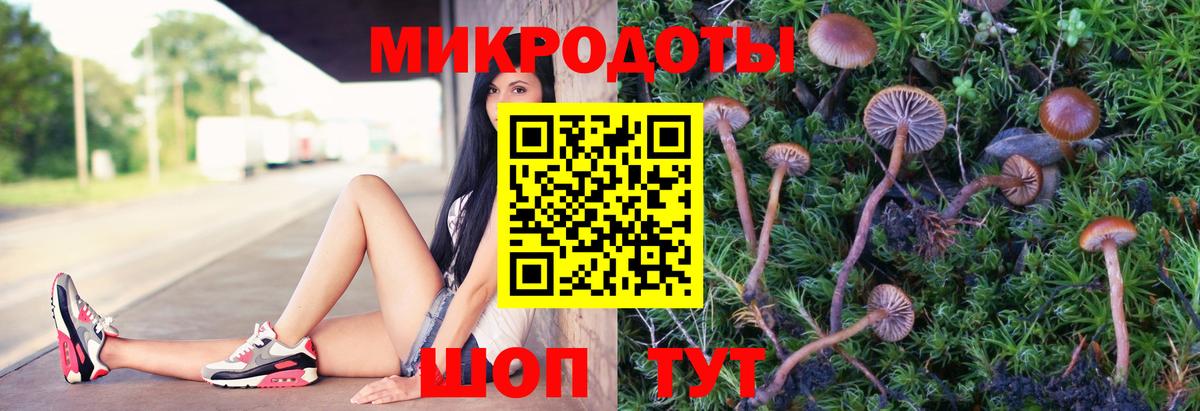Галлюциногенные грибы мухоморы Видное